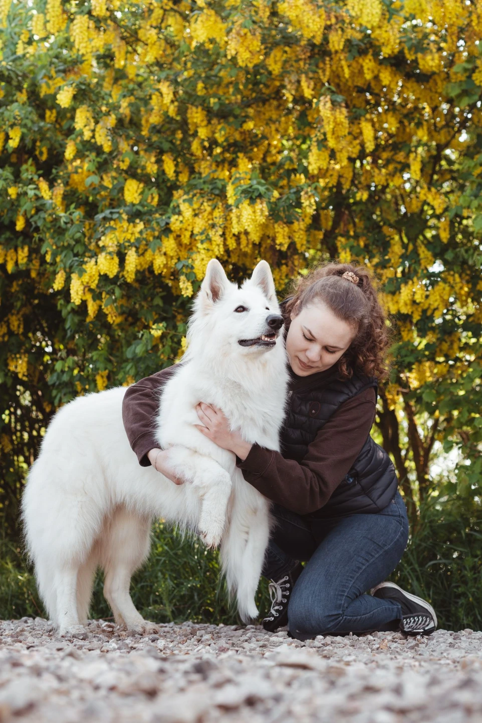 Manon Devaux, ostéopathe animalier, lors d'une consultation canine